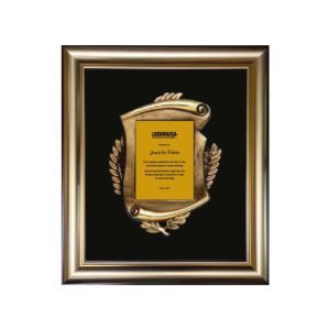 PLACA ENMARCADA SIDERAL